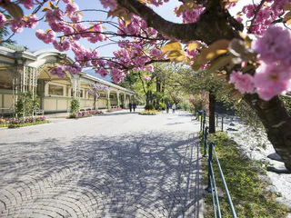 Meran