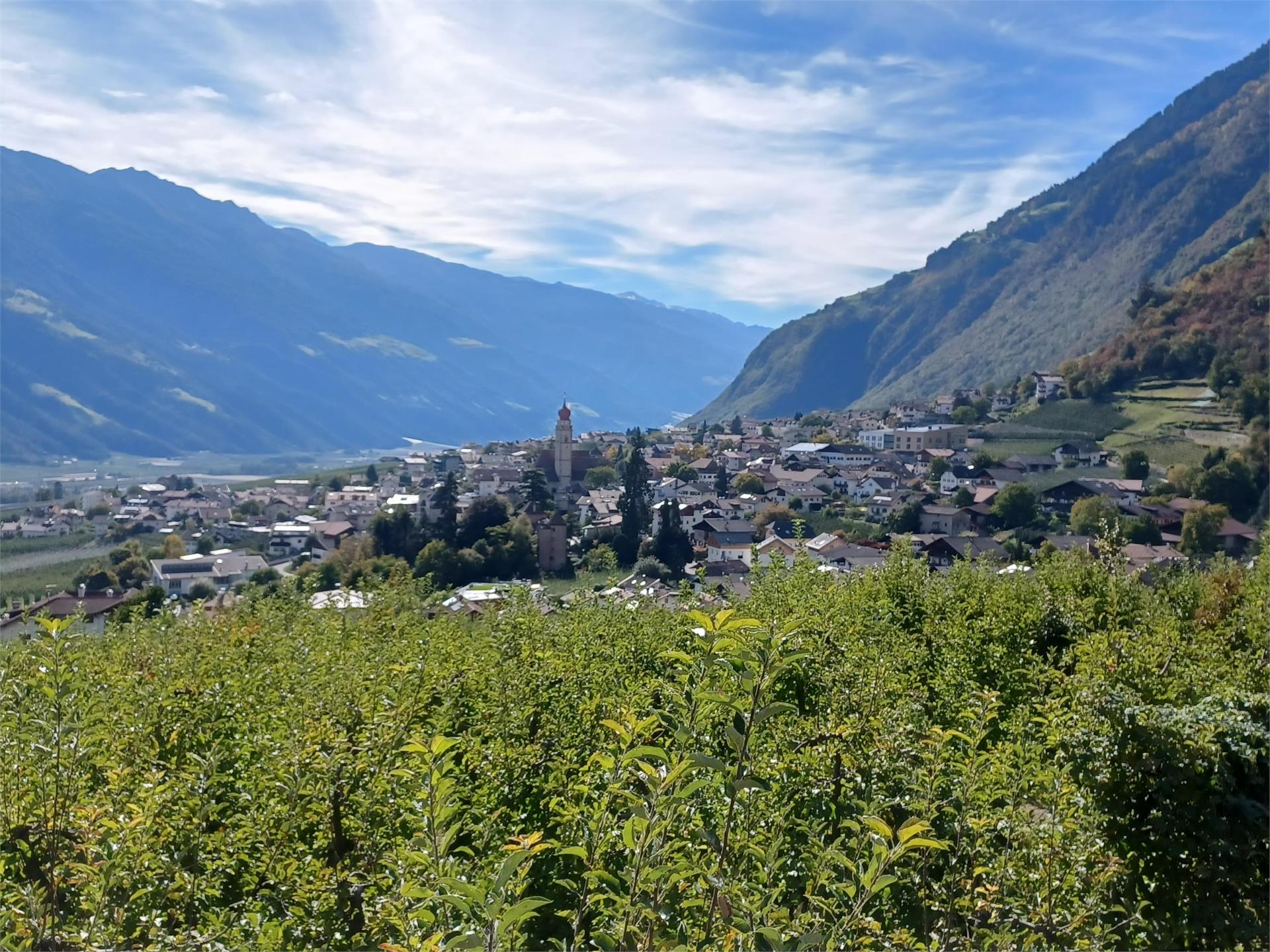 Giro delle castagne di Vertigen Parcines 1 suedtirol.info