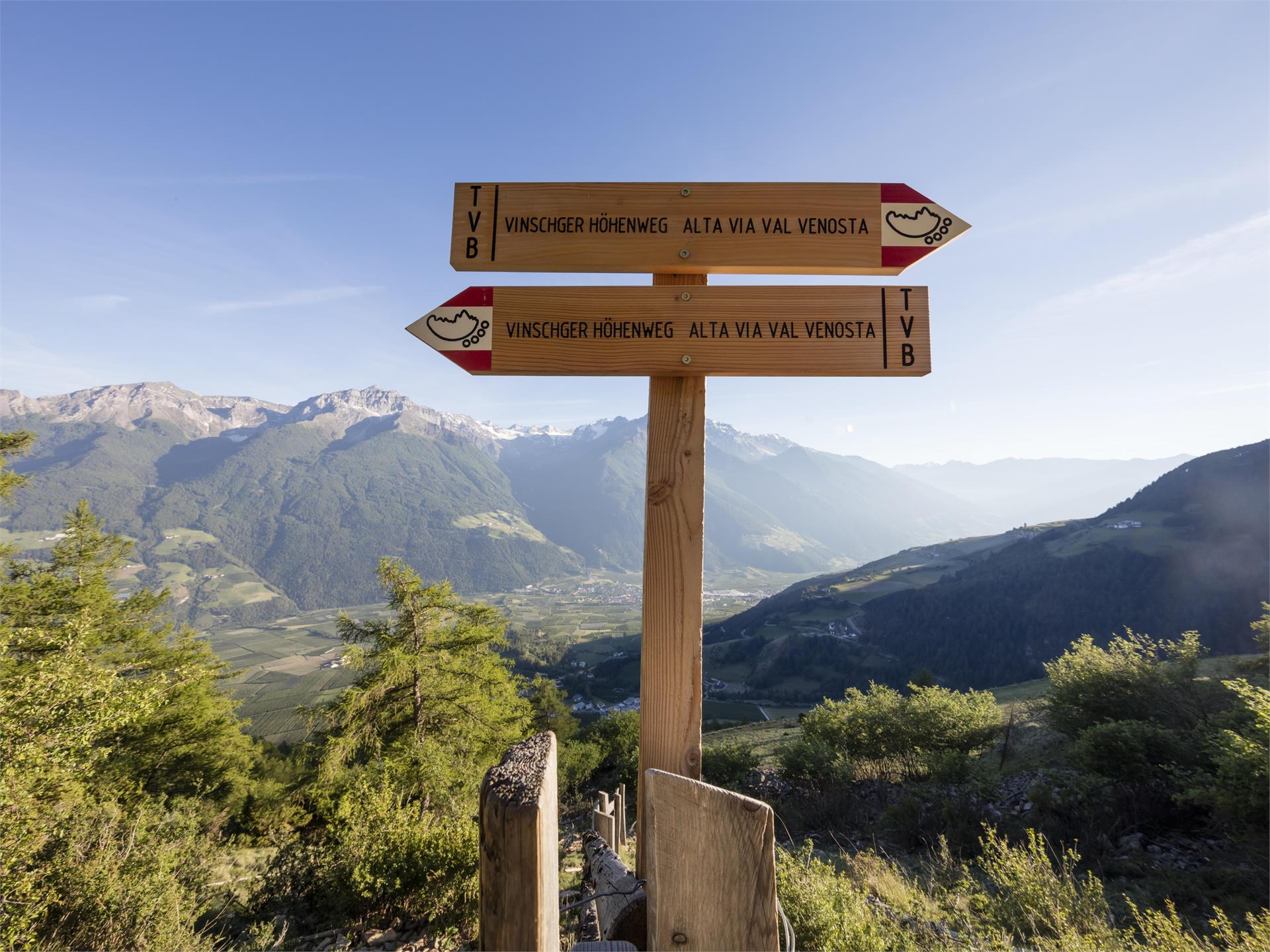 Venosta Valley High Mountain Trail, Stage 2: From Planol to the Glieshöfe farms Mals/Malles 1 suedtirol.info