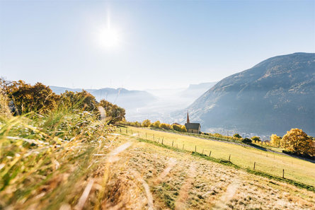 From Algund/Lagundo to Vellau/Velloi along the Grabbachweg and the Saxnerweg trails Algund/Lagundo 4 suedtirol.info