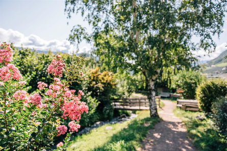 From Algund/Lagundo to Vellau/Velloi along the Grabbachweg and the Saxnerweg trails Algund/Lagundo 2 suedtirol.info