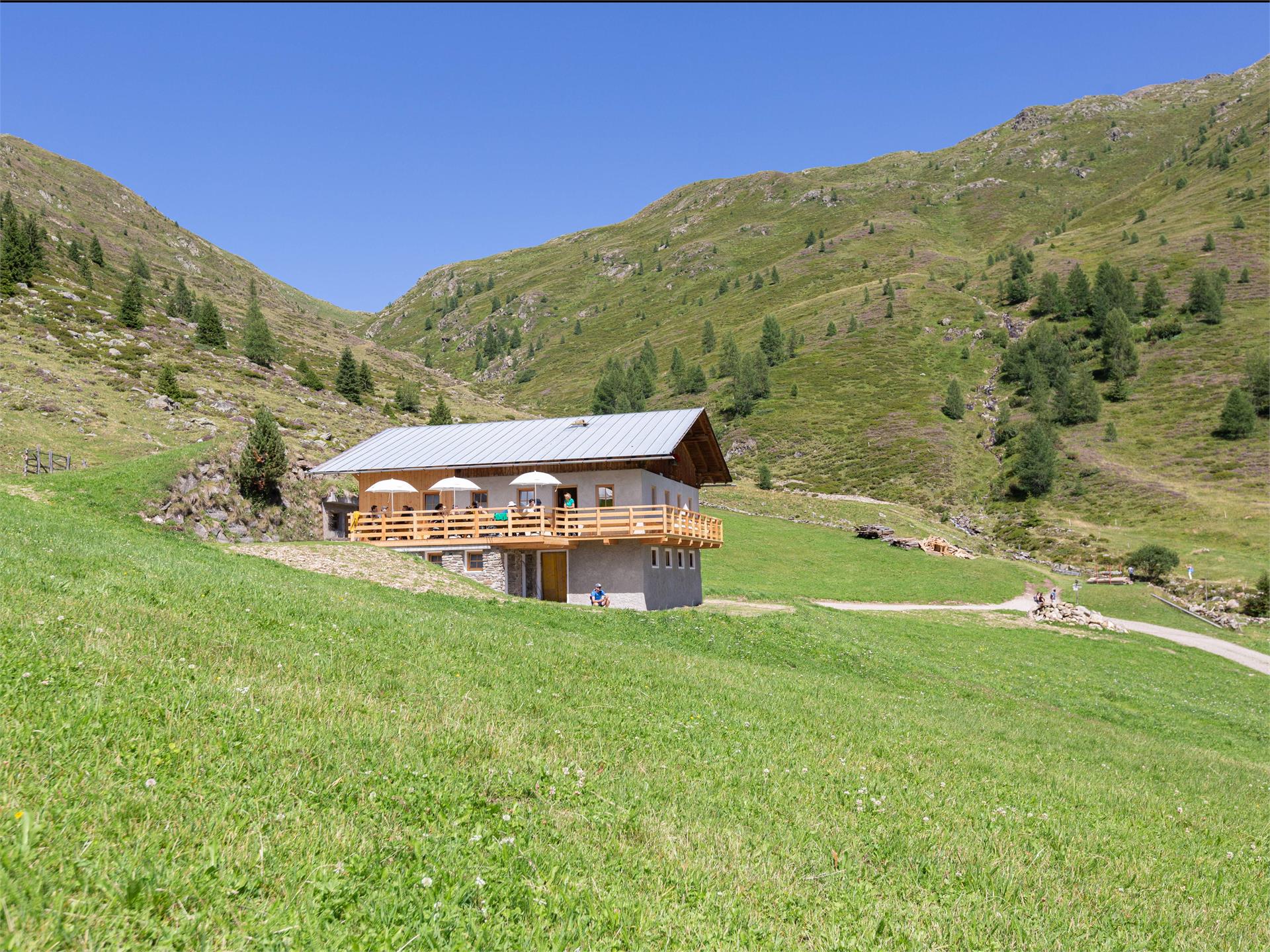 The Oberbergalm in Val Casies Valley 1975 m Gsies/Valle di Casies 1 suedtirol.info