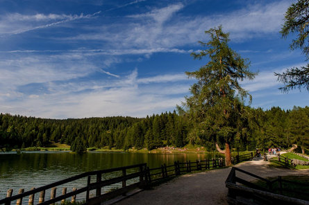 Hiking to the San Felice lake U.L.Frau i.W.-St. Felix/Senale-S.Felice 5 suedtirol.info