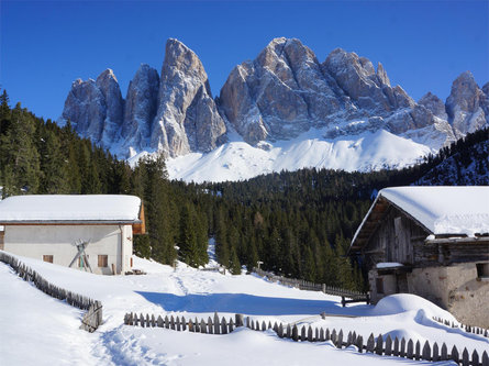 Escursione invernale Ranui - Zannes - Malga Glatsch - Malga Dusler - Ranui Funes 1 suedtirol.info