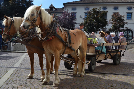 carriage ride Eppan an der Weinstaße/Appiano sulla Strada del Vino 1 suedtirol.info