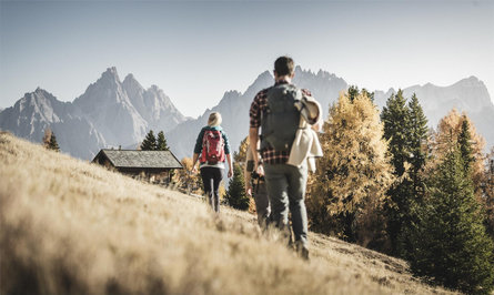 Hike: Cappella del bosco - Baita del cacciatore Innichen/San Candido 1 suedtirol.info