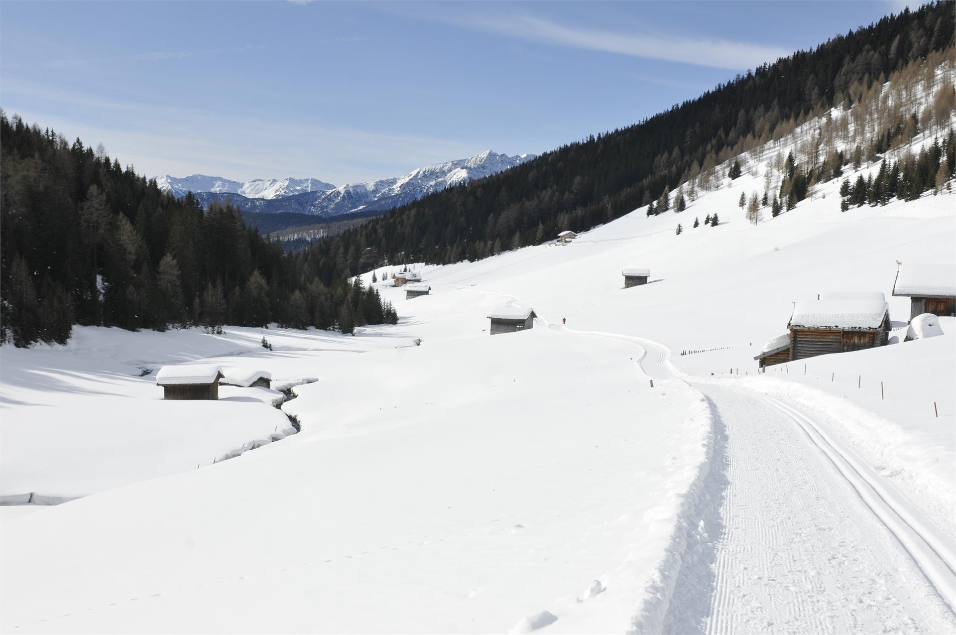 Escursione invernale in Valle Altafossa presso Maranza Rio di Pusteria 1 suedtirol.info