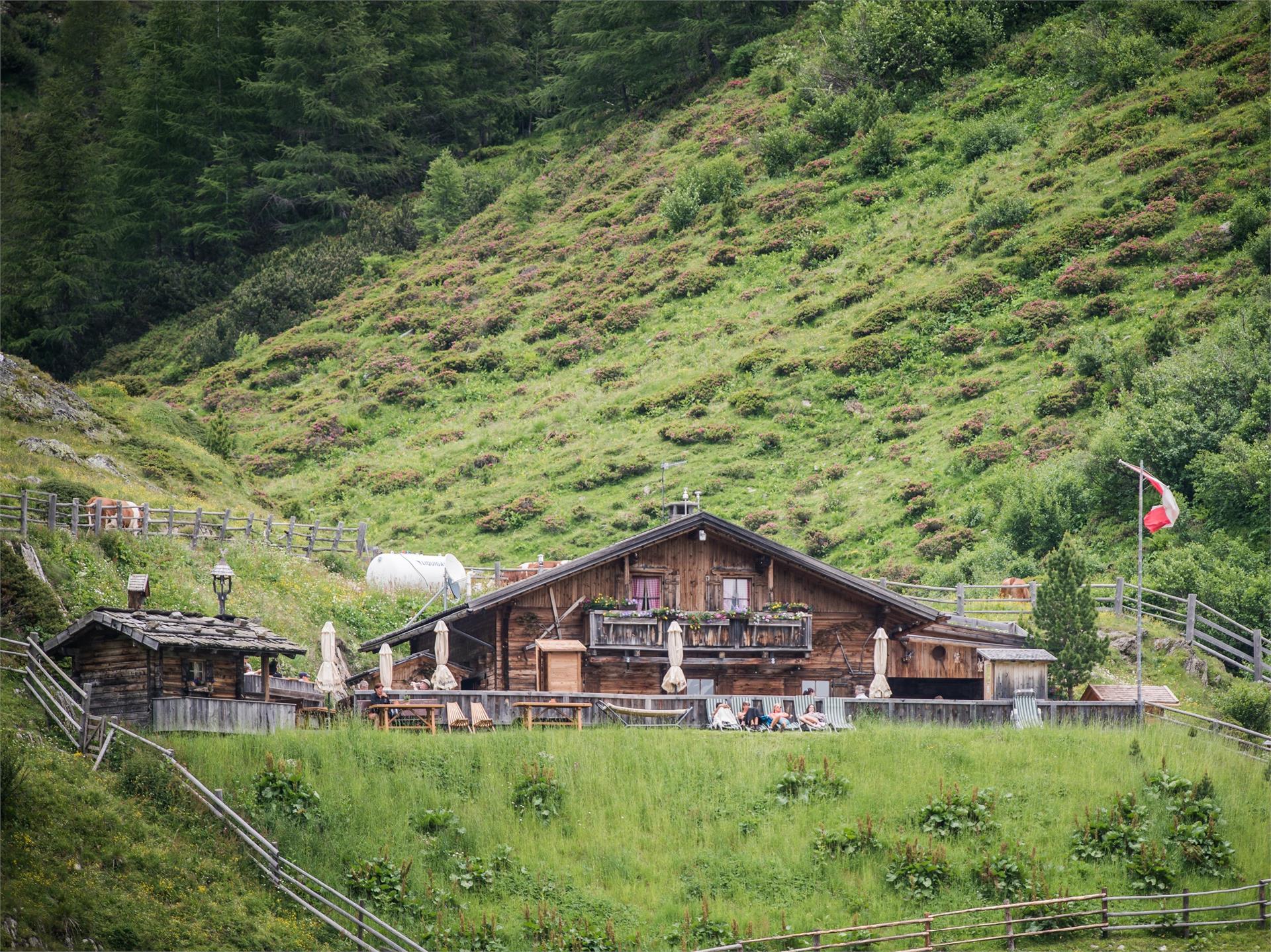 Escursione malga Knutten Predoi 1 suedtirol.info