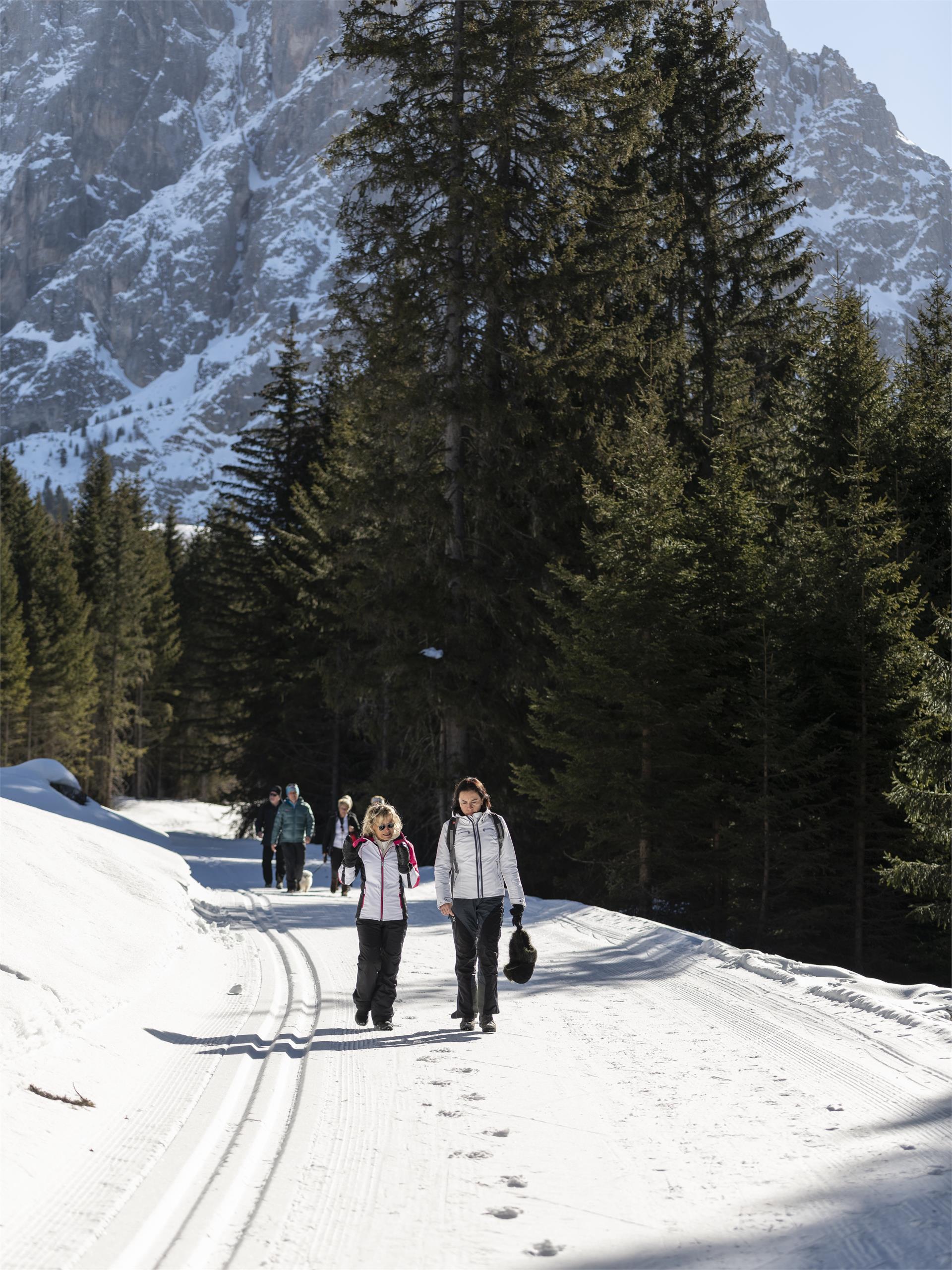 Winter hike to Mont Sëura S.Crestina Gherdëina/Santa Cristina Val Gardana 15 suedtirol.info