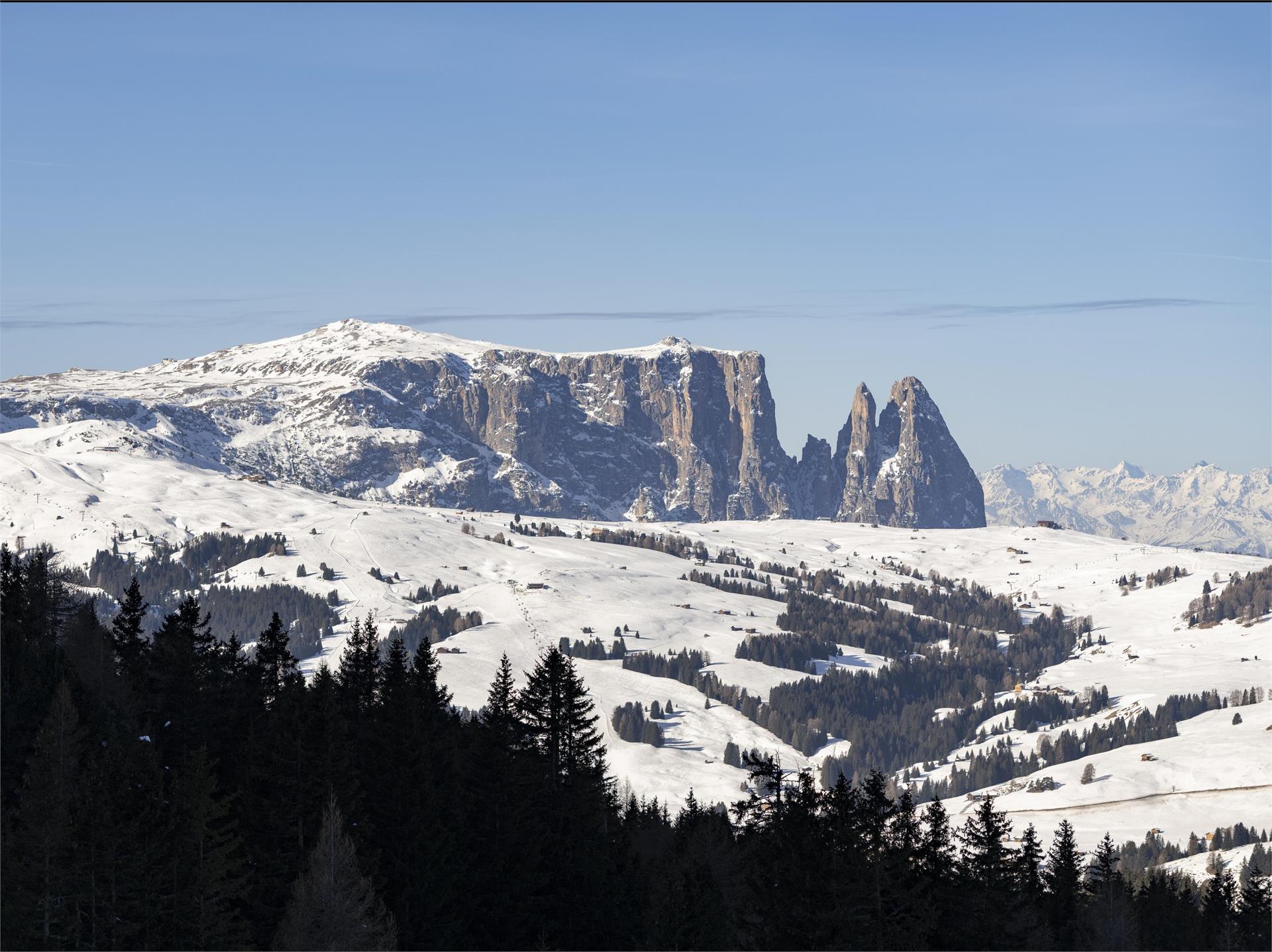 Winter hike to Mont Sëura S.Crestina Gherdëina/Santa Cristina Val Gardana 10 suedtirol.info