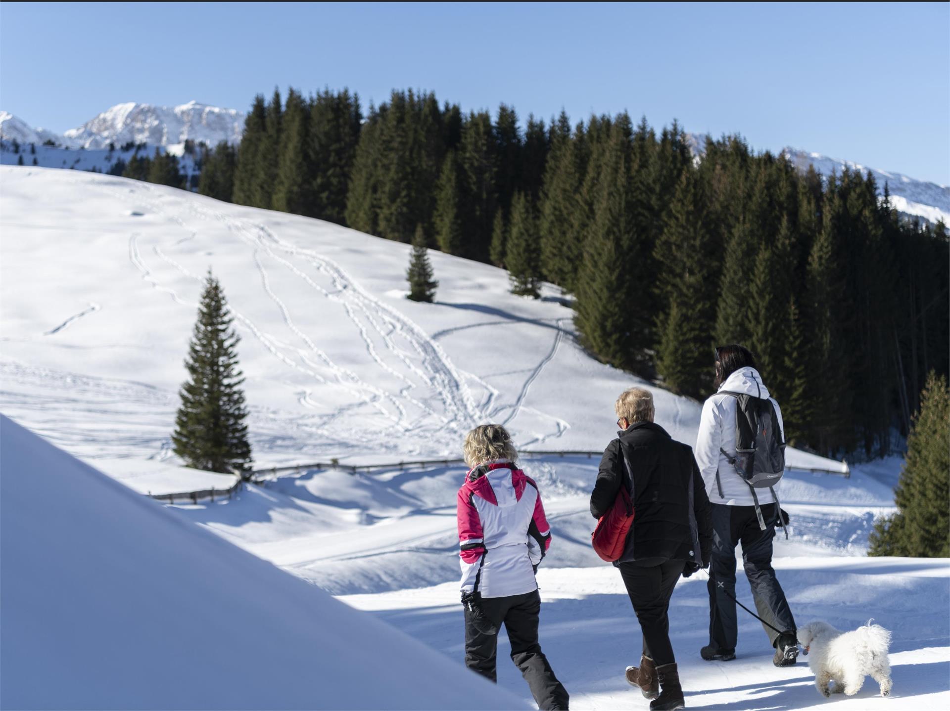 Winter hike to Mont Sëura S.Crestina Gherdëina/Santa Cristina Val Gardana 9 suedtirol.info