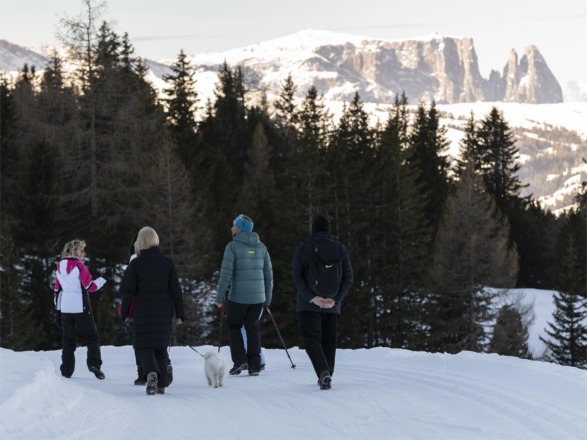 Winter hike to Mont Sëura S.Crestina Gherdëina/Santa Cristina Val Gardana 6 suedtirol.info