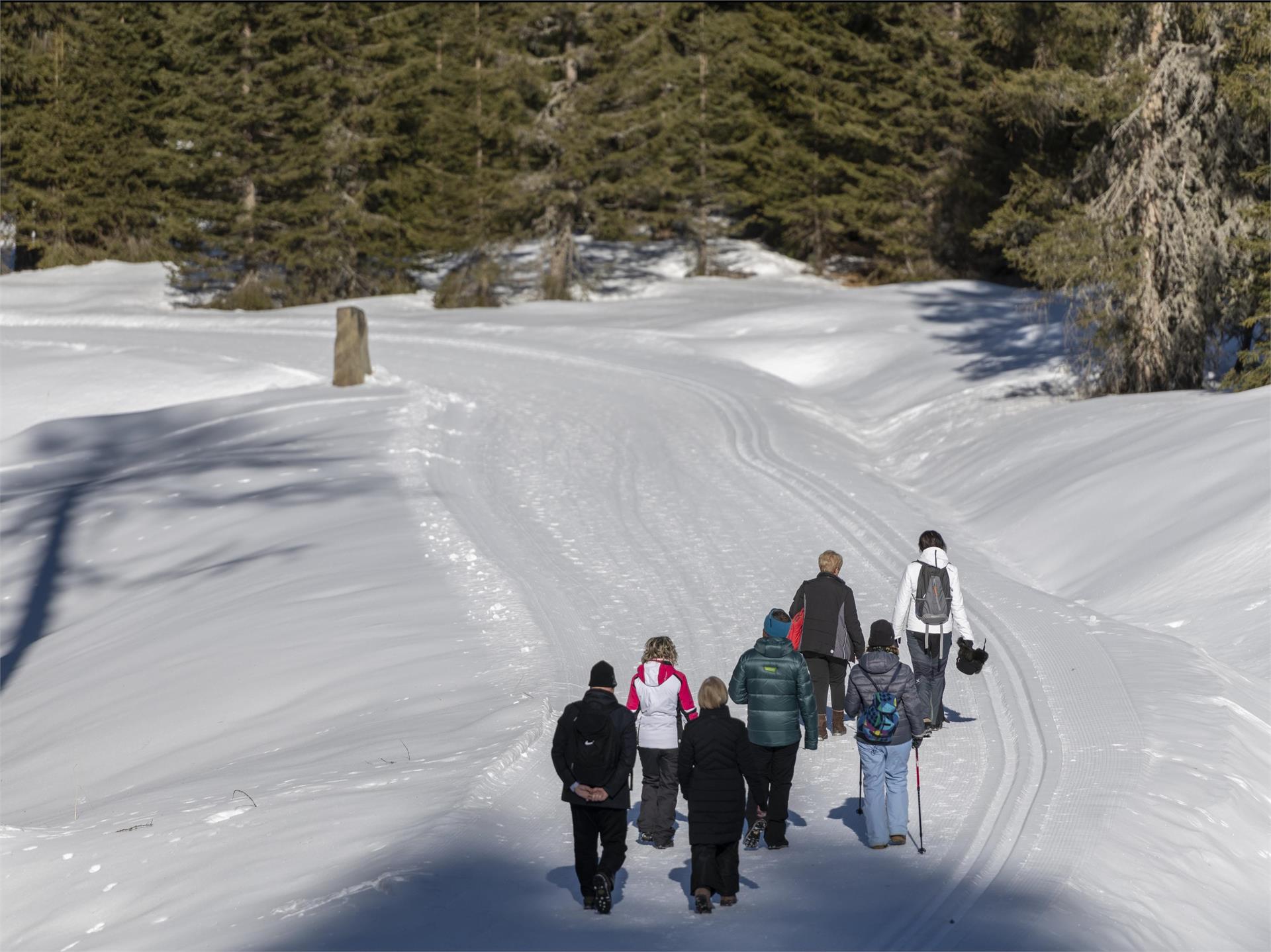 Winter hike to Mont Sëura S.Crestina Gherdëina/Santa Cristina Val Gardana 14 suedtirol.info