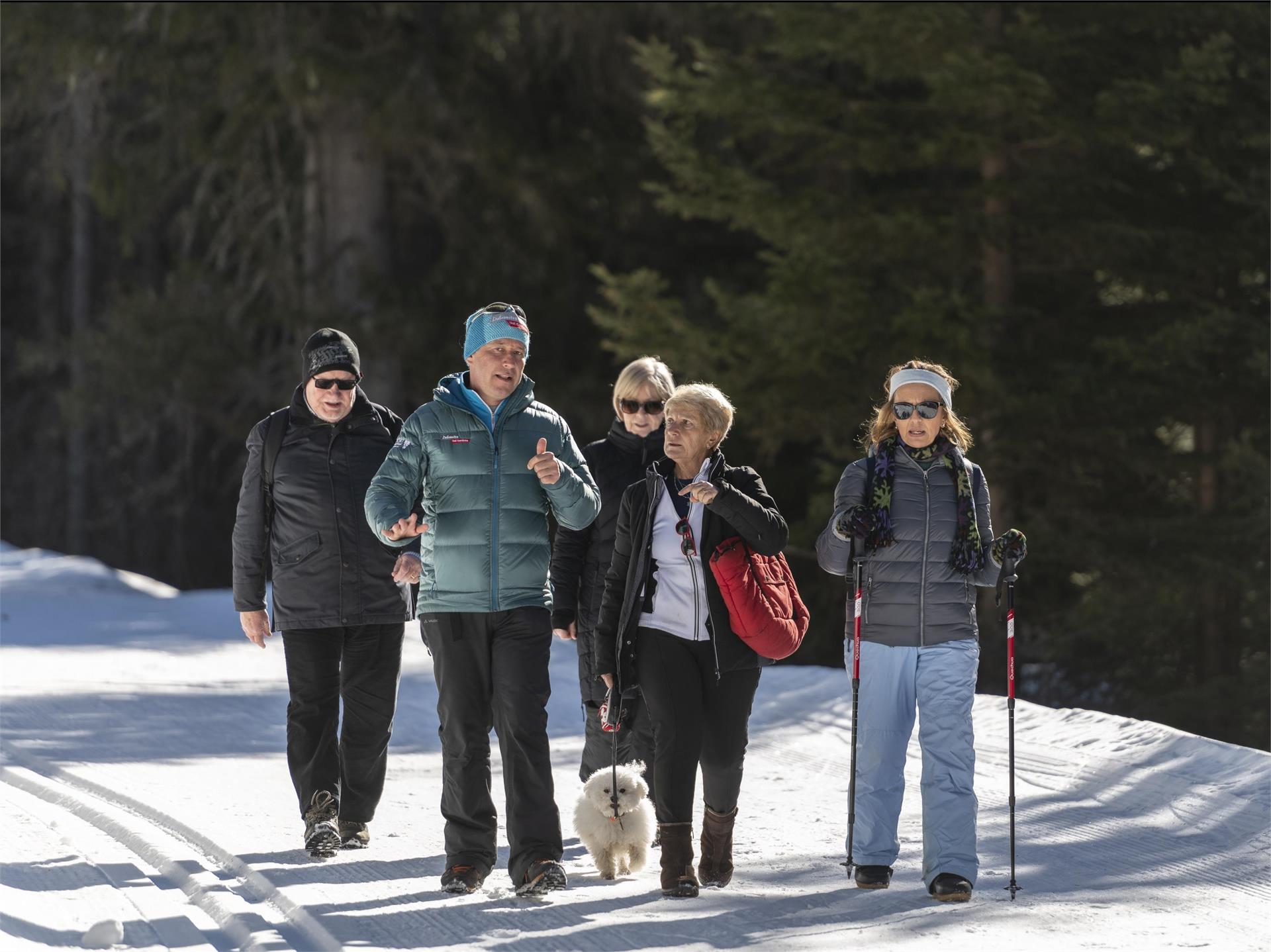 Winter hike to Mont Sëura S.Crestina Gherdëina/Santa Cristina Val Gardana 16 suedtirol.info