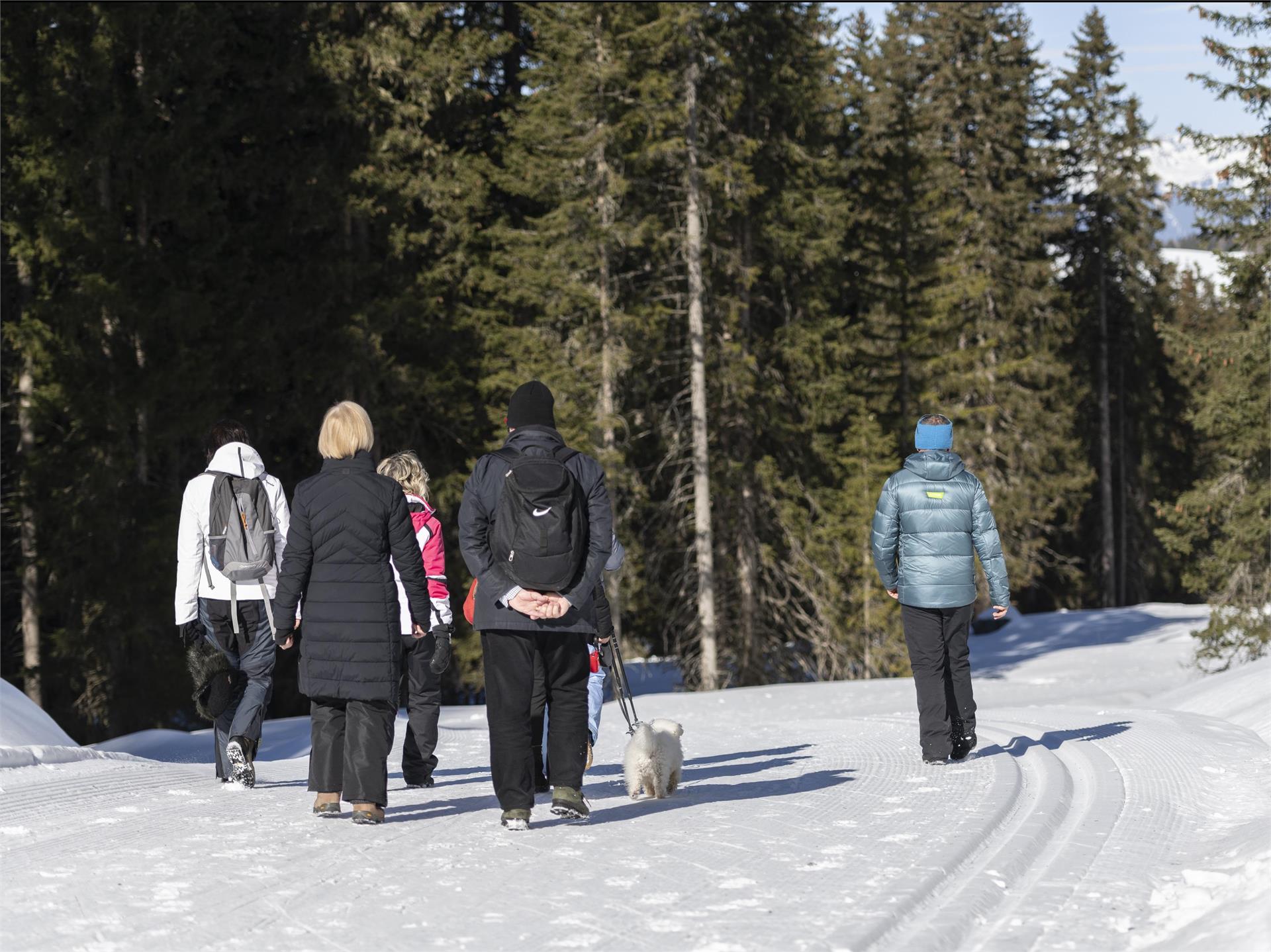 Winter hike to Mont Sëura S.Crestina Gherdëina/Santa Cristina Val Gardana 8 suedtirol.info