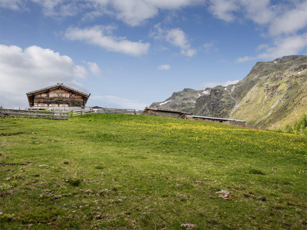 Hike to the "Innerfalkomai" alp Ulten/Ultimo 1 suedtirol.info