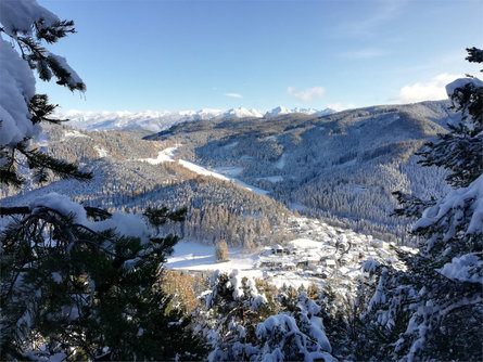 Escursione invernale alla Malga Cislon Trodena 5 suedtirol.info