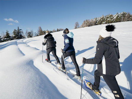 Winterwanderung zur Cisloner Alm Truden 2 suedtirol.info