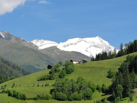 Passeggiata lungo il lato ombreggiato di Selva dei Molini (Copy) Selva dei Molini 1 suedtirol.info