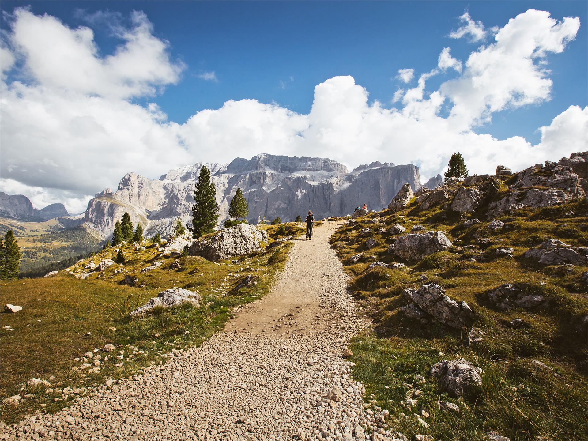 Footpath Ortisei - Passo Sella Sëlva/Selva 3 suedtirol.info