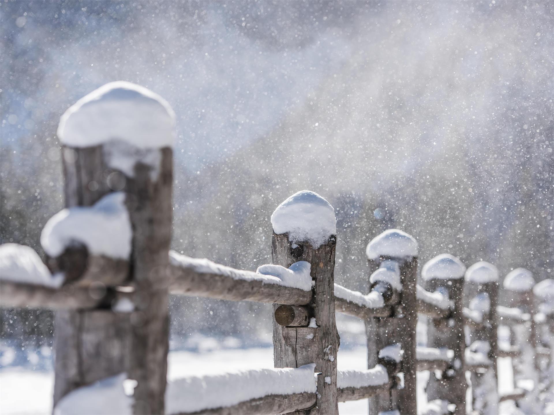 Winter hike with buggy: Sesto – Valley Fiscalina – Fondo Valle hut Sexten/Sesto 1 suedtirol.info