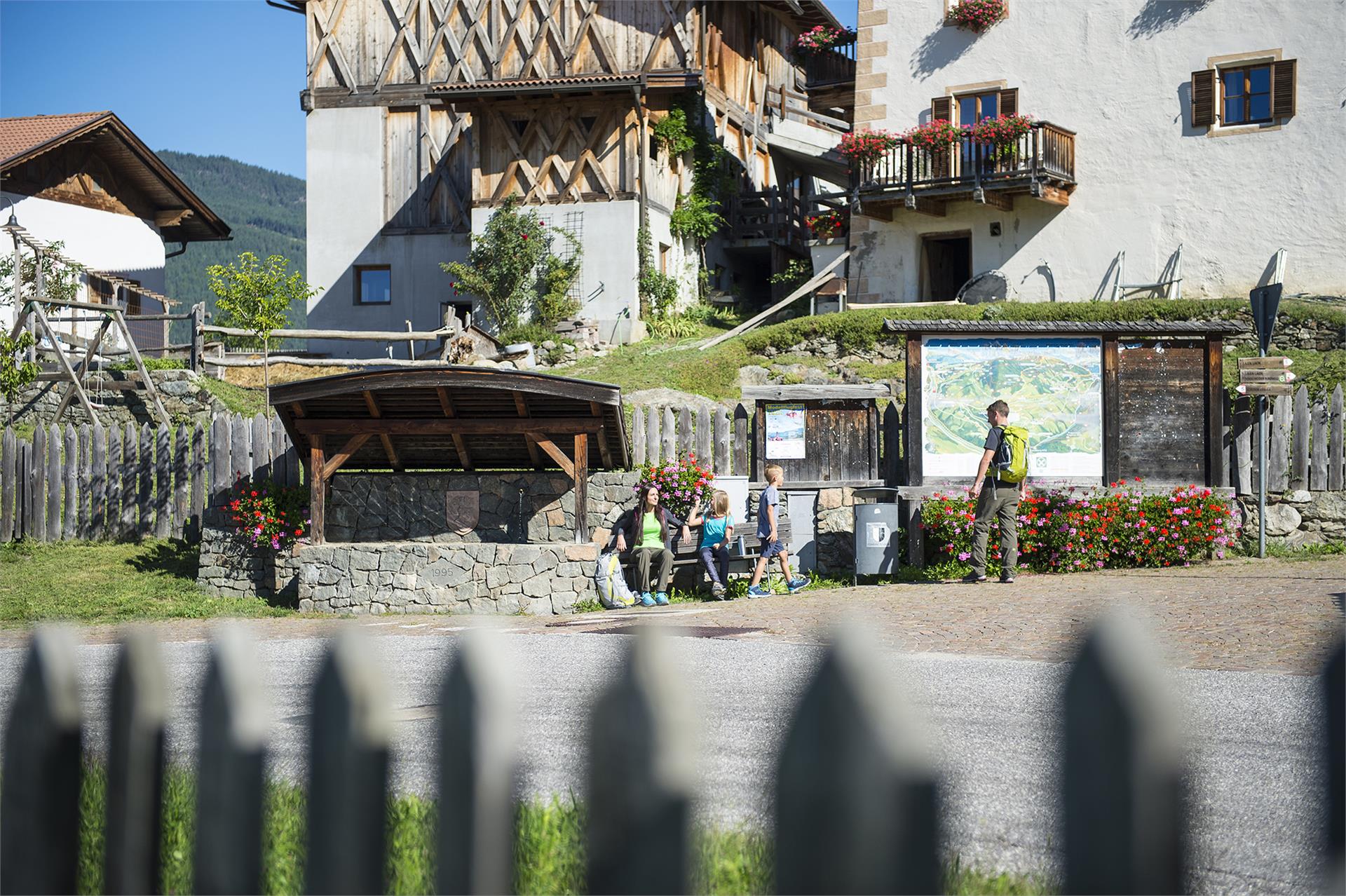 Walther von der Vogelweide Rundweg Lajen 6 suedtirol.info