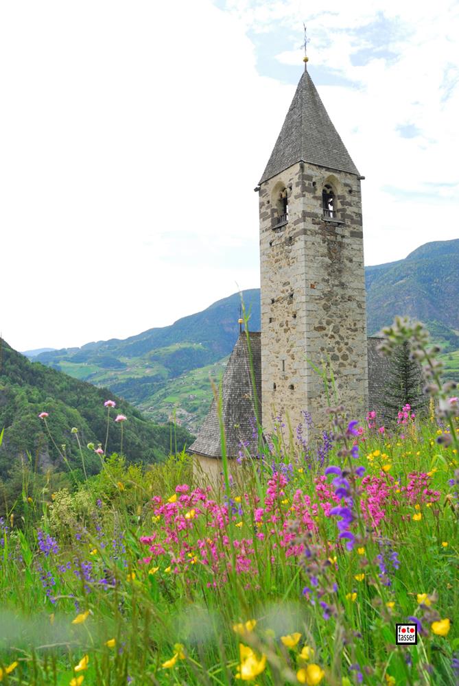 Walther von der Vogelweide Rundweg Lajen 2 suedtirol.info