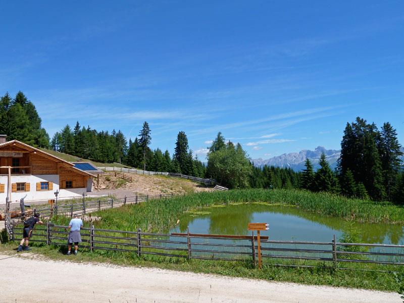 Wanderung Weissenstein-Neuhütt-Auerleger  2 suedtirol.info