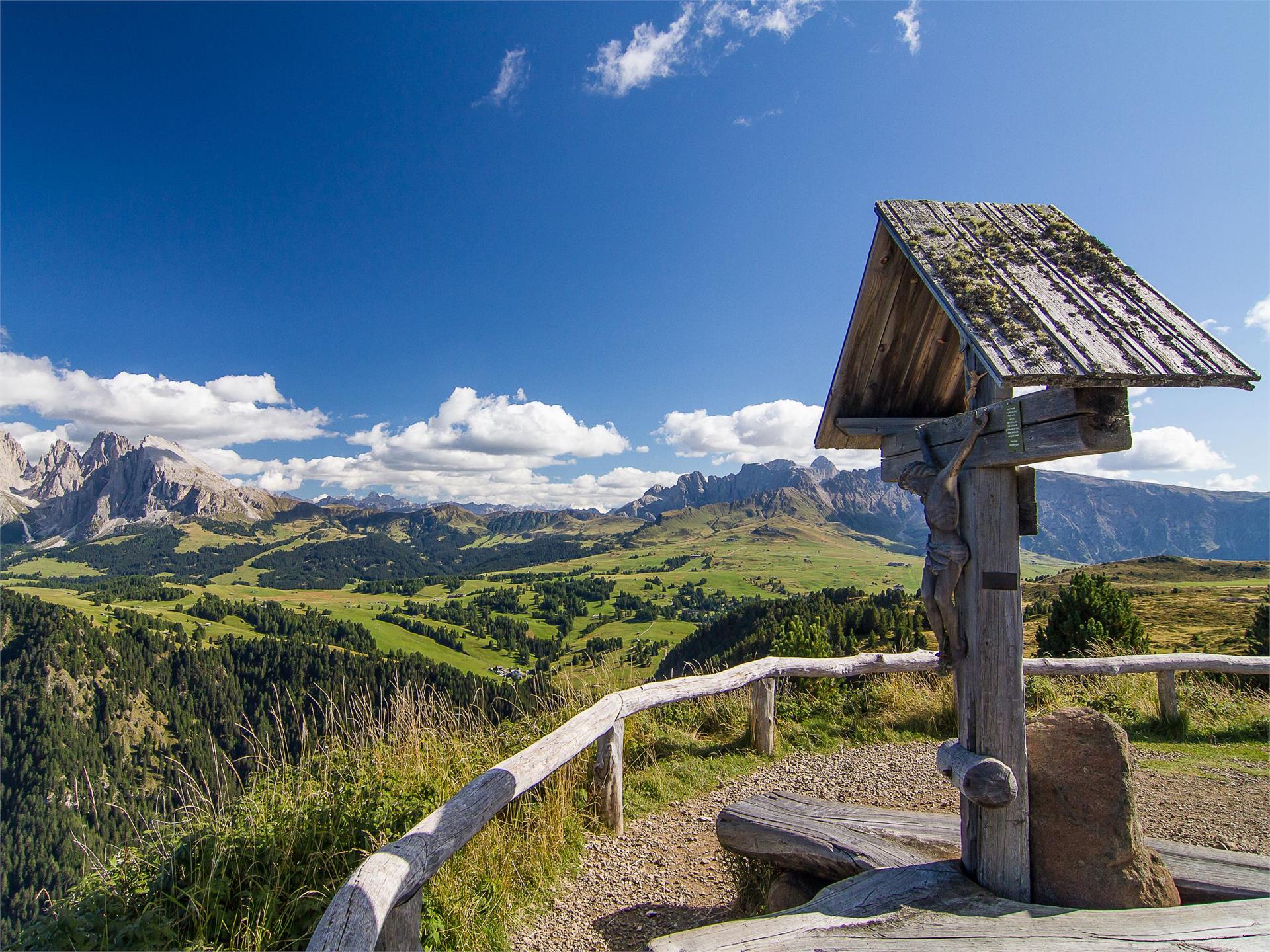 Escursione sulla Bullaccia/Alpe di Siusi Castelrotto 1 suedtirol.info