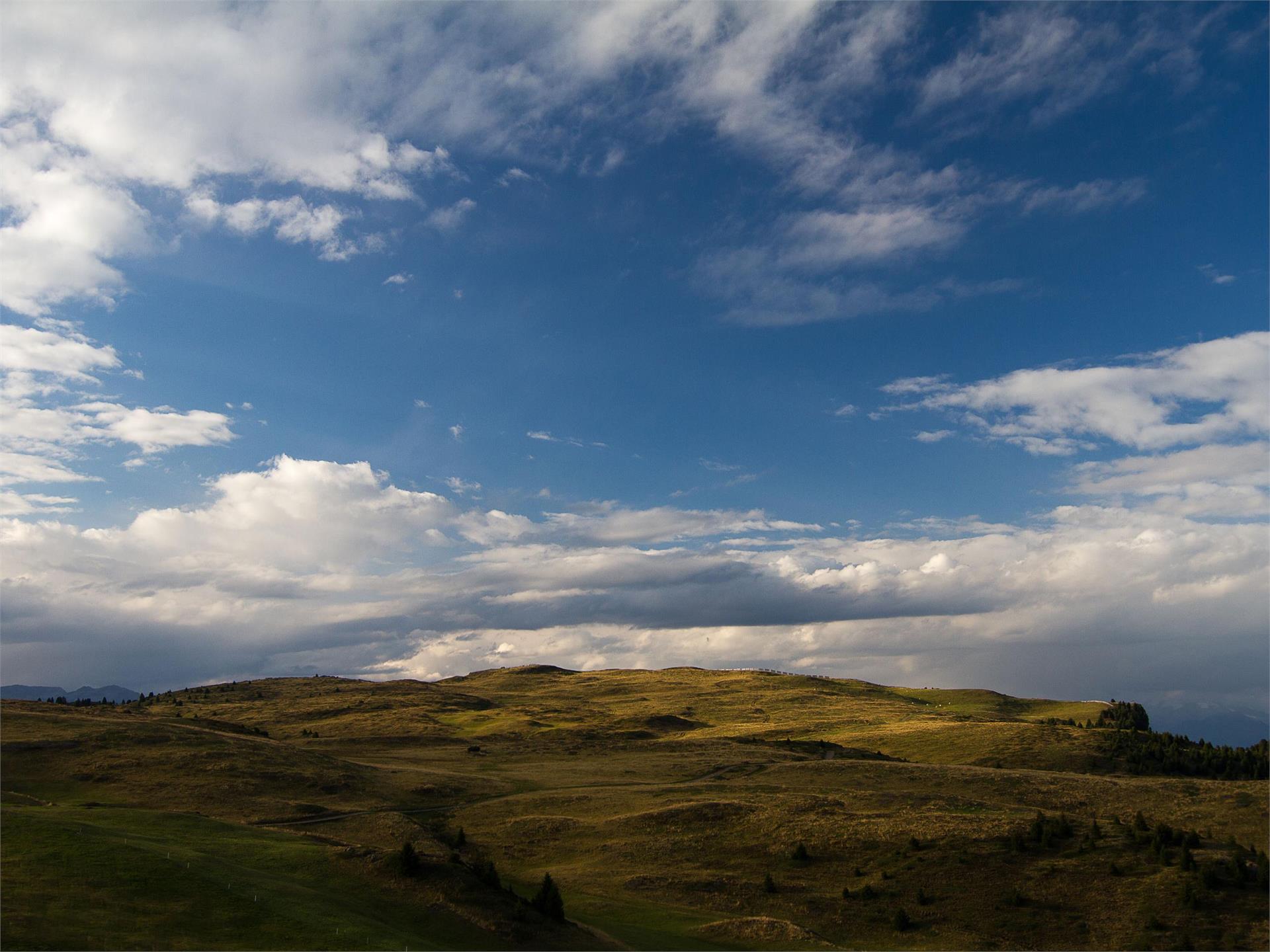 Escursione sulla Bullaccia/Alpe di Siusi Castelrotto 4 suedtirol.info