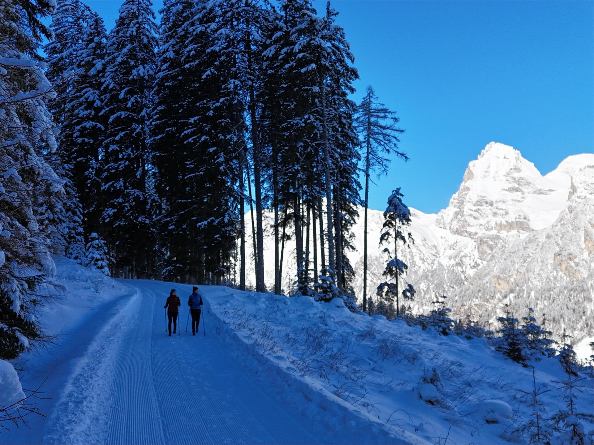 Winter hiking trail Ladurns