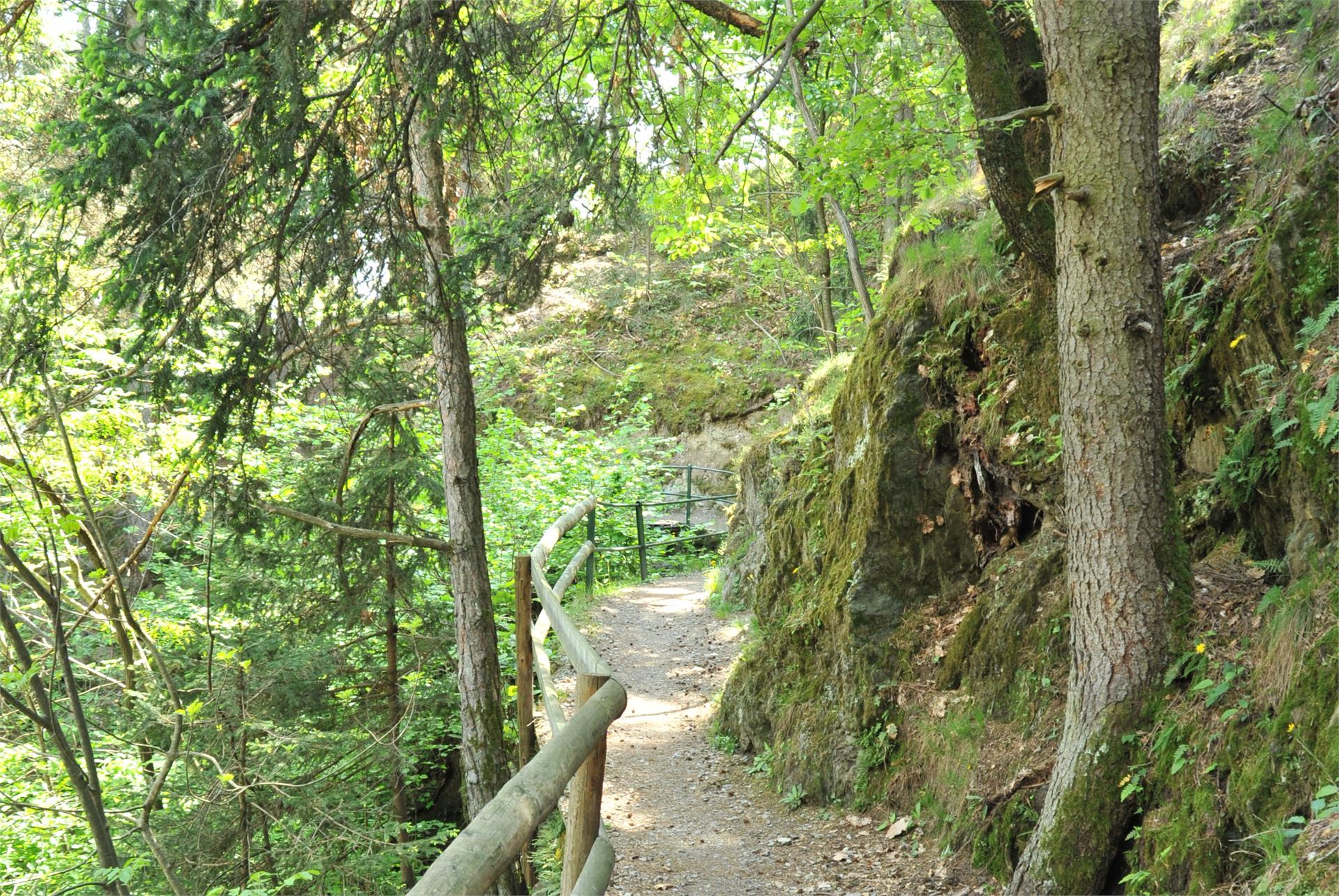 Sentiero di meditazione a Rifiano Rifiano 1 suedtirol.info