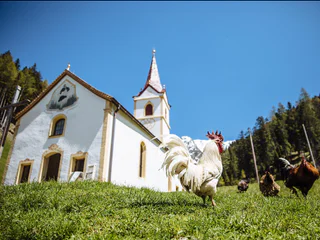 Waltner Rundweg in Walten - St.Leonhard in Passeier - #3 - suedtirol.info