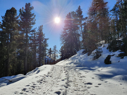 Winterwanderung über die Eisawiesn im Matschertal Mals 2 suedtirol.info