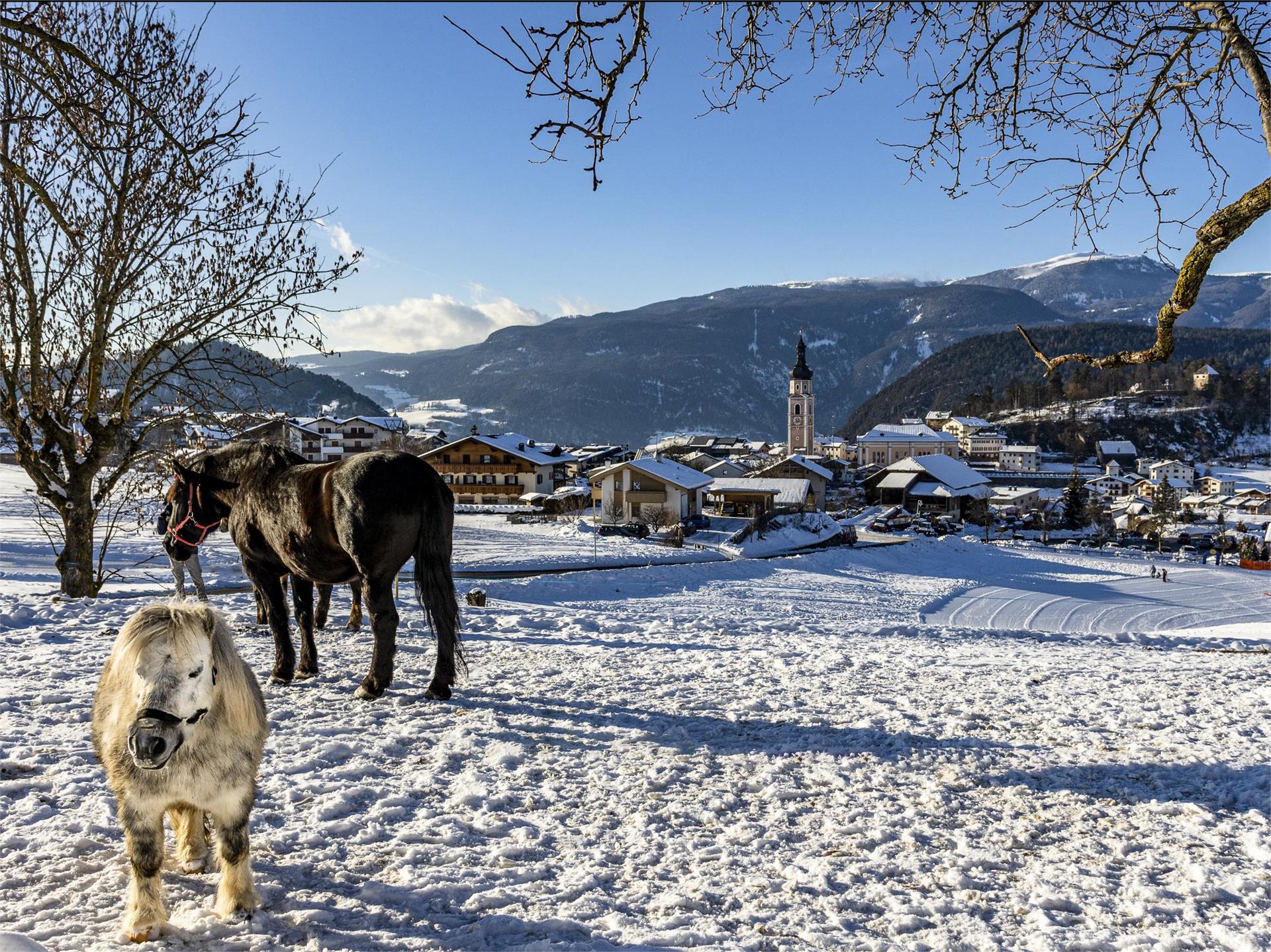 Sentiero invernale: Castelrotto–Spiazzo „Bremicher Platzl”-Tiosels-Kastelruth Castelrotto 1 suedtirol.info