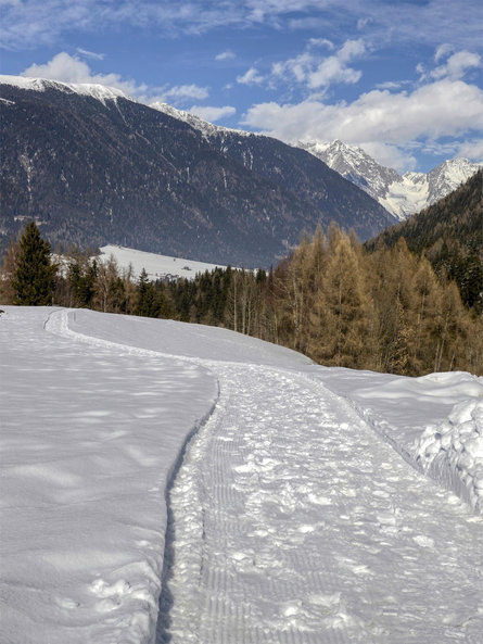 Escursione invernale Seefelder Valdaora 2 suedtirol.info