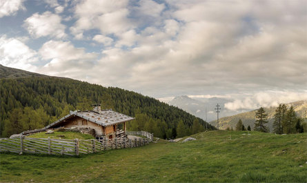 Escursione alla malga "Kühberg" San Pancrazio 1 suedtirol.info