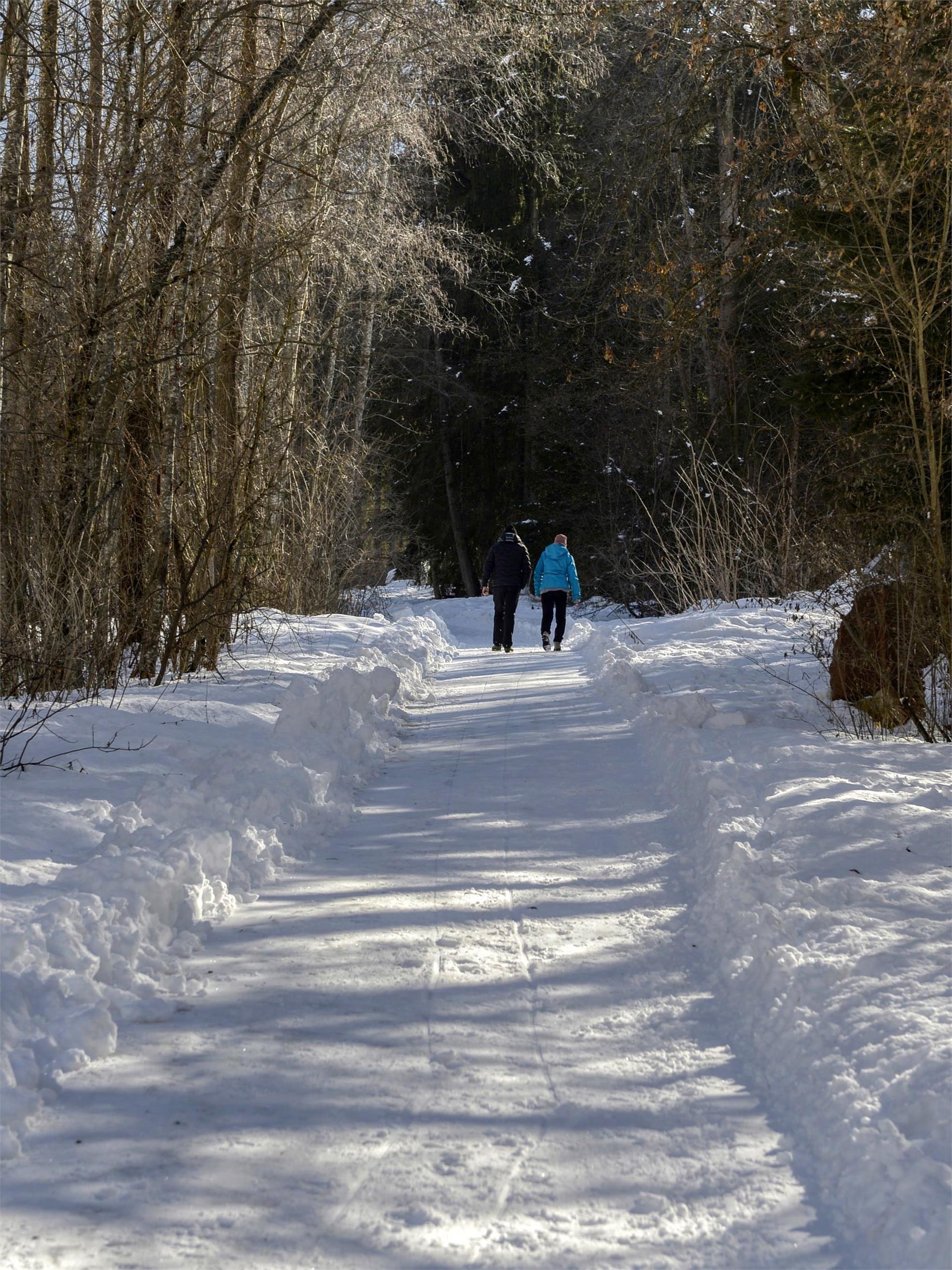 Winterwanderung Gassl Olang 1 suedtirol.info