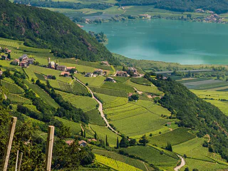 Kalterer See von Tramin aus