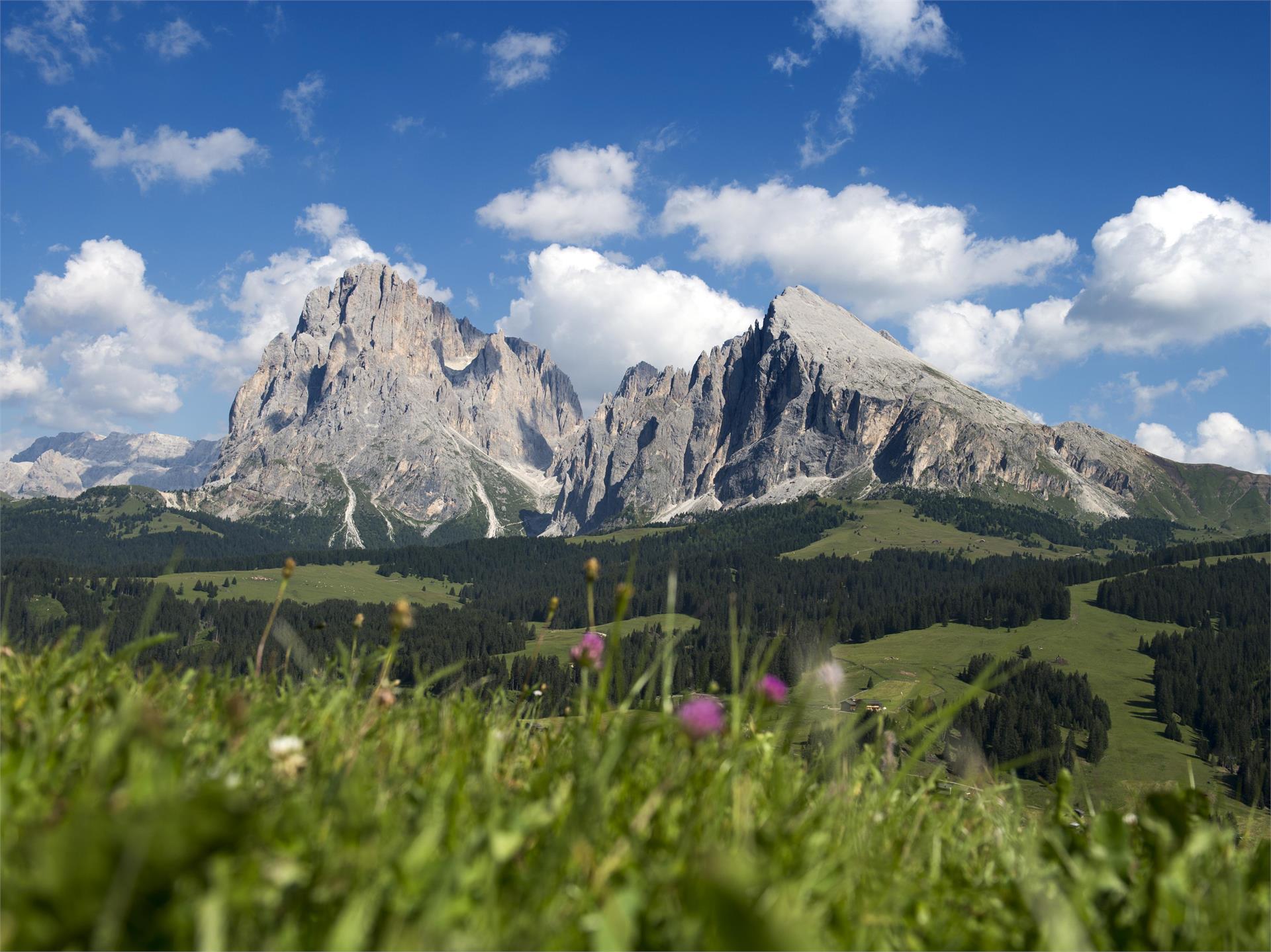 Hike around the Plattkofel and Langkofel Kastelruth/Castelrotto 1 suedtirol.info