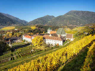 Weinbergweg bei Brixen - Brixen - #1 - suedtirol.info