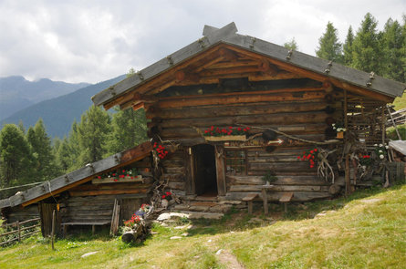 Hike to the "Kaserfeld" alp Proveis/Proves 1 suedtirol.info