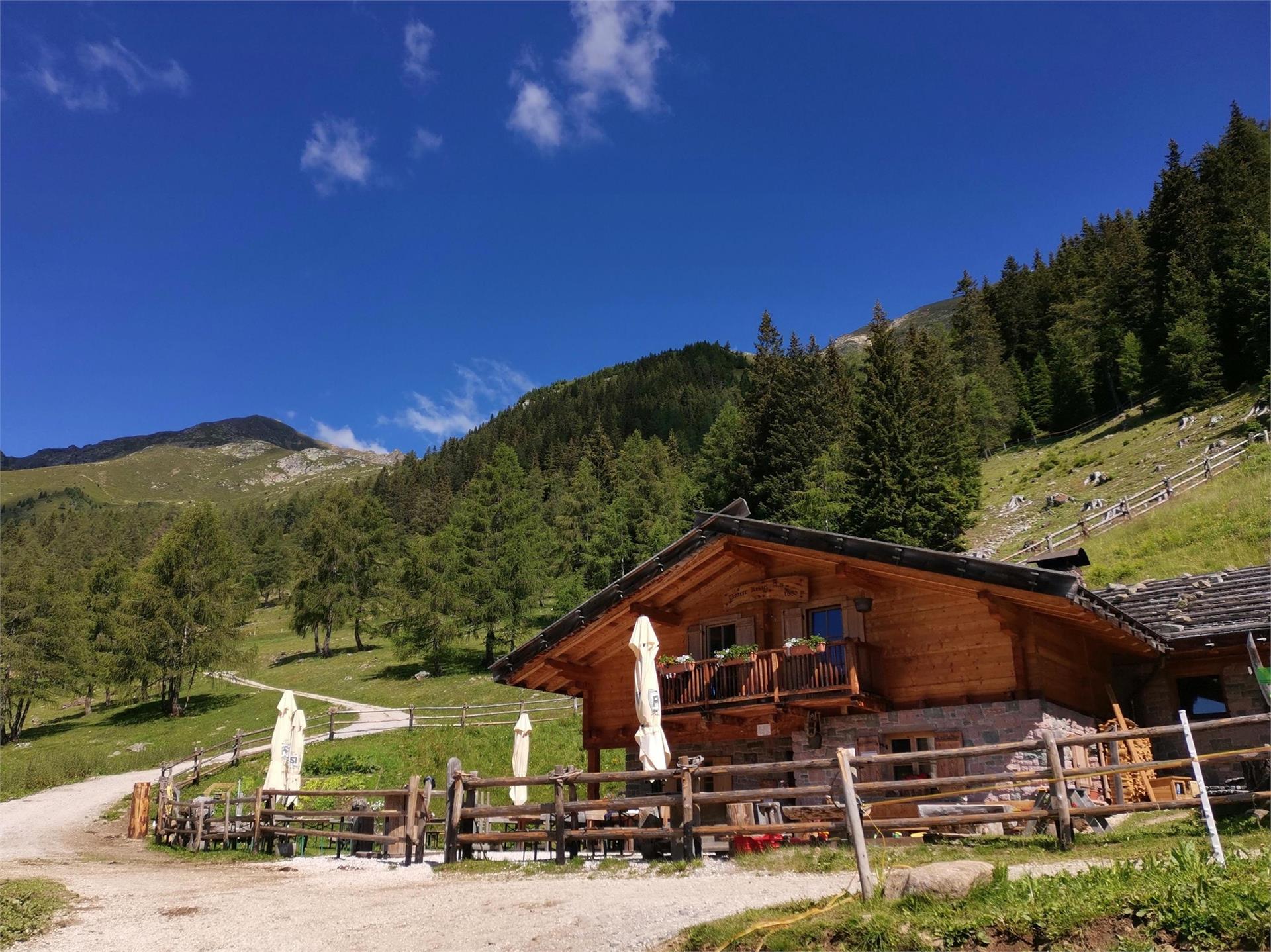 Hike to the "Untere Kessl Alm" Proveis/Proves 1 suedtirol.info