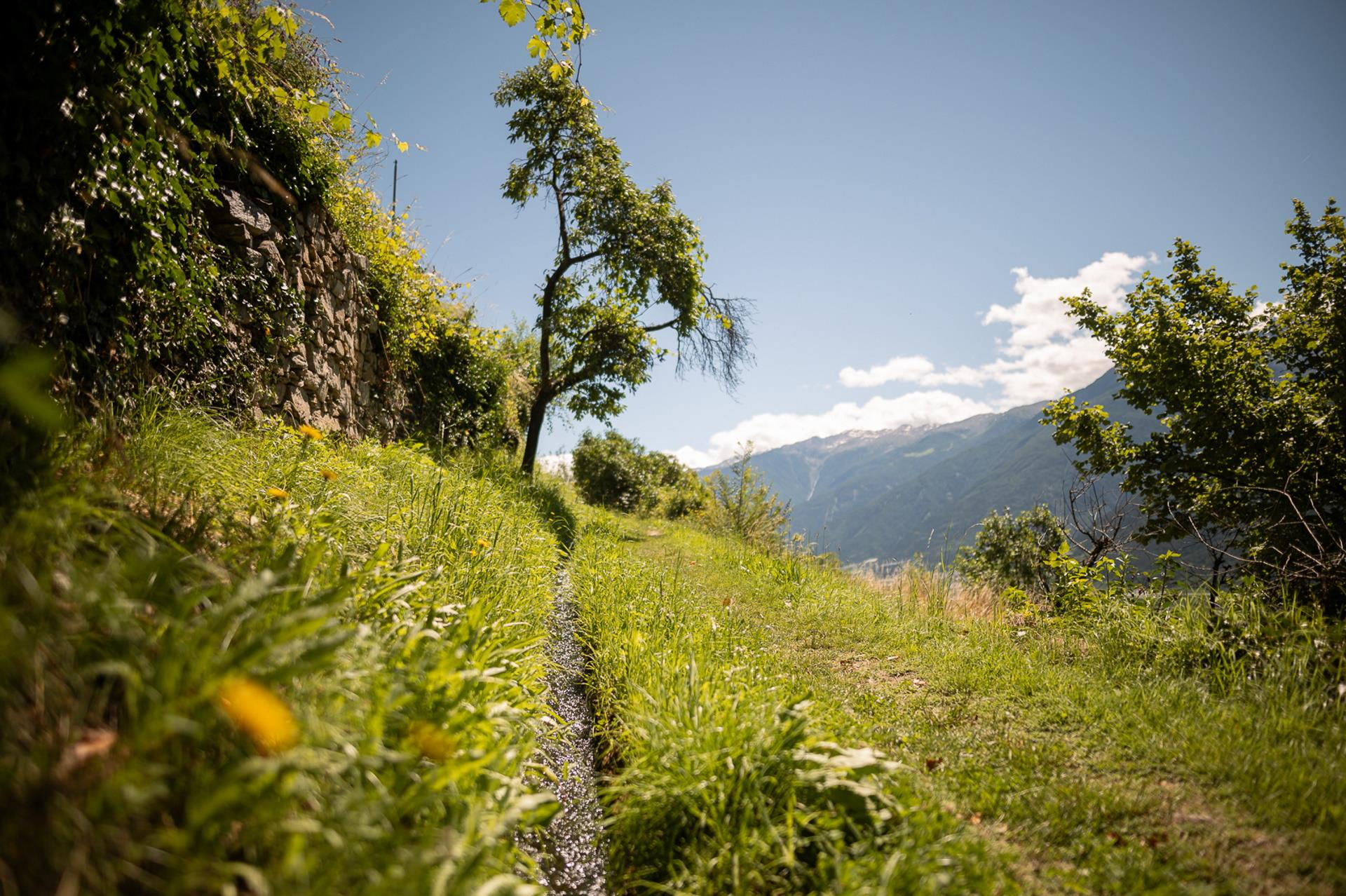 Ilswaal Schlanders 1 suedtirol.info