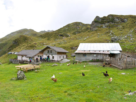 Escursione alla malga Klammalm Racines 1 suedtirol.info