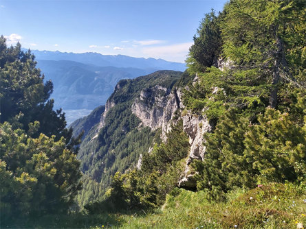 Escursione dal passo Mendola al monte Roen Caldaro sulla Strada del Vino 3 suedtirol.info