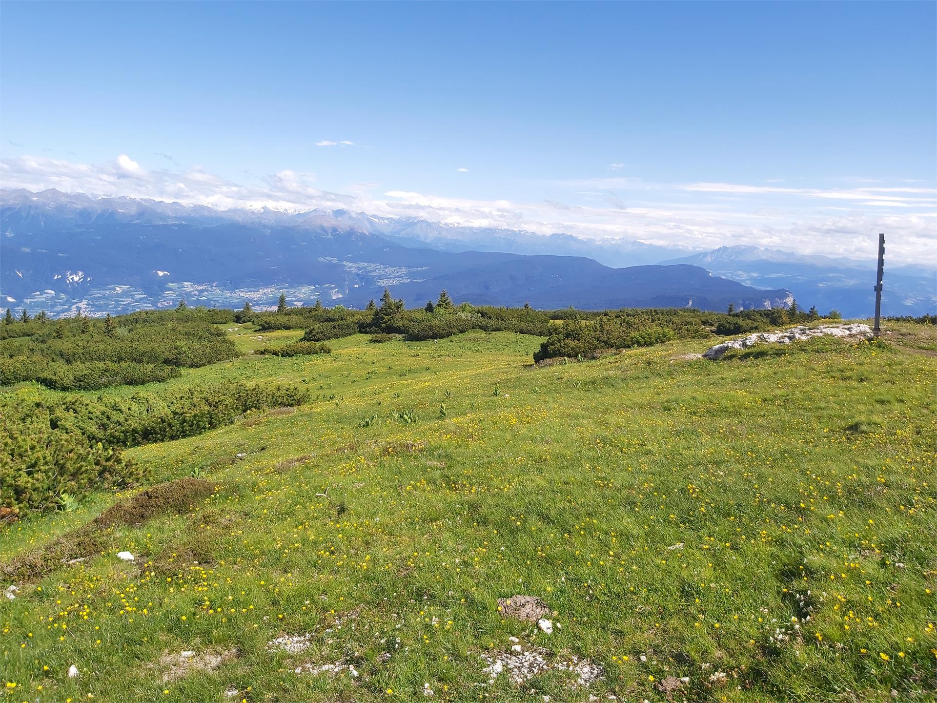 Hiking tour Mendelpass - Roen Kaltern an der Weinstraße/Caldaro sulla Strada del Vino 13 suedtirol.info