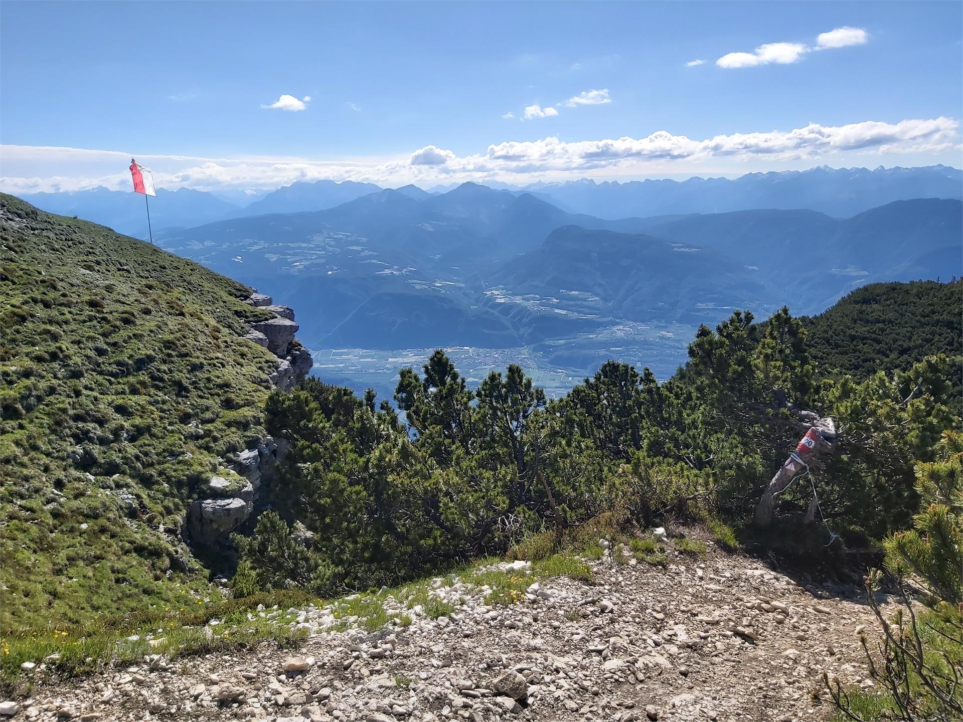 Hiking tour Mendelpass - Roen Kaltern an der Weinstraße/Caldaro sulla Strada del Vino 9 suedtirol.info