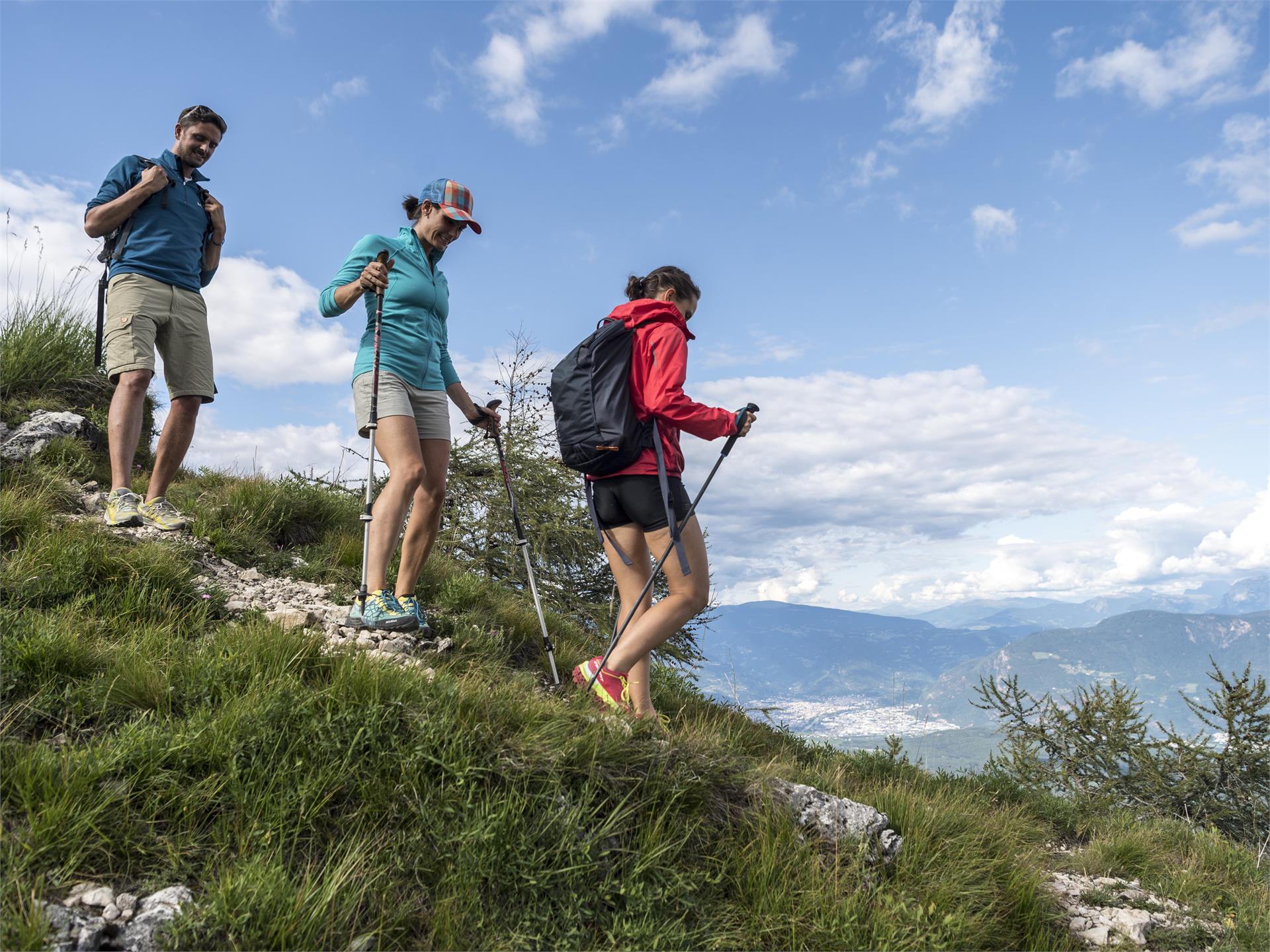 Hiking tour Mendelpass - Roen Kaltern an der Weinstraße/Caldaro sulla Strada del Vino 5 suedtirol.info