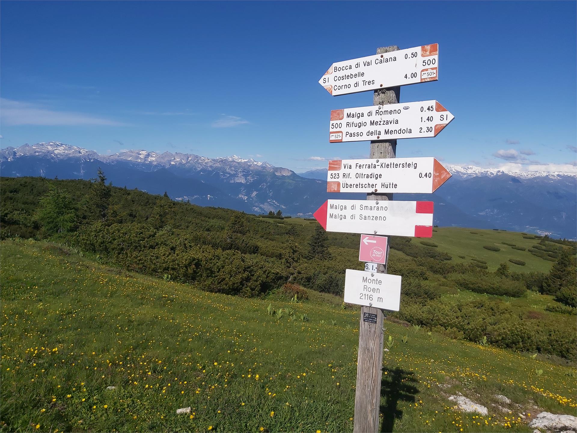 Hiking tour Mendelpass - Roen Kaltern an der Weinstraße/Caldaro sulla Strada del Vino 4 suedtirol.info